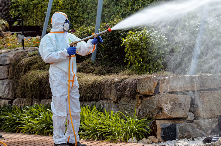 رش حشرات السالمية