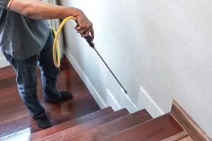 خدمات رش حشرات السالمية