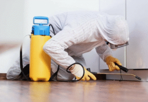 شركات مكافحة حشرات في الفروانية