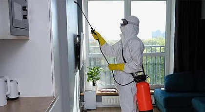 شركة رش مبيدات حشرية