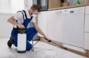 مكافحة الحشرات الفروانية