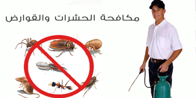شركة مكافحة حشرات بالكويت 50285849