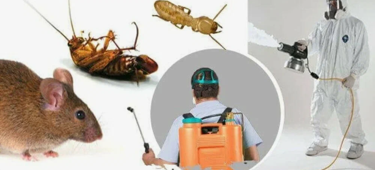 شركة رش مبيدات الروضة