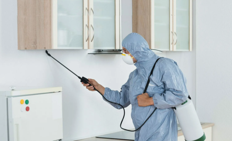 شركة رش مبيدات السرة