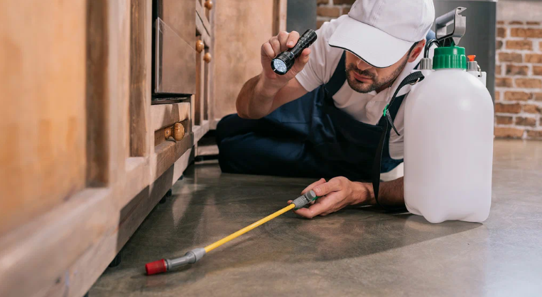 شركة مكافحة الحشرات الروضة