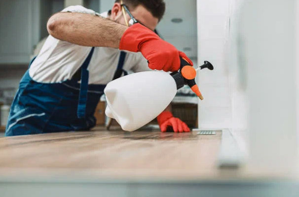 شركات مكافحة حشرات المنصورية