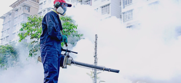 شركات مكافحة حشرات بالمنصورية