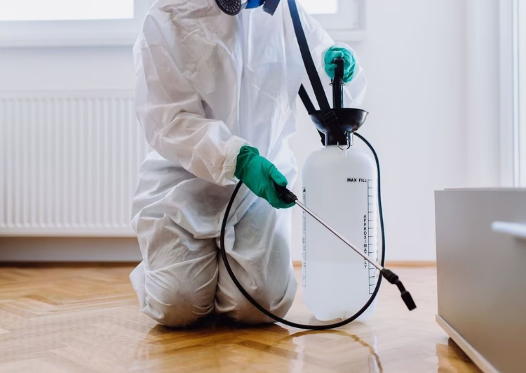 شركة مكافحة الحشرات الشرق