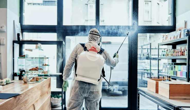 شركة مكافحة الحشرات الصوابر