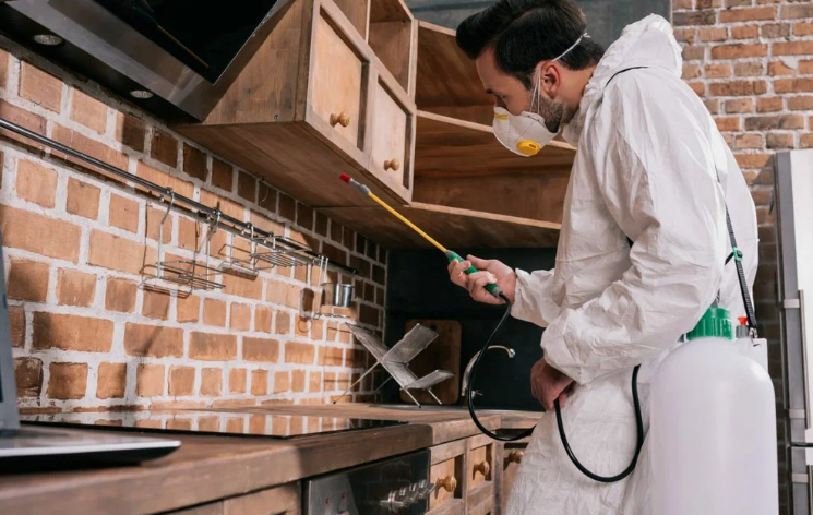 شركة مكافحة الحشرات المرقاب