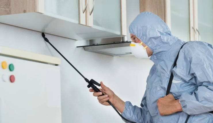 شركة مكافحة حشرات المنصورية