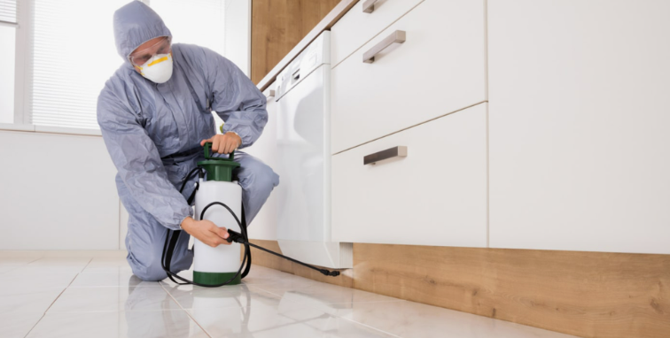 شركات مكافحة الحشرات بالمرقاب