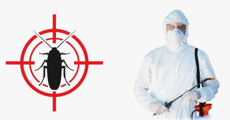 شركات مكافحة حشرات الجهراء