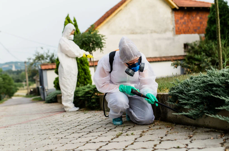 شركة مكافحة الحشرات في المرقاب