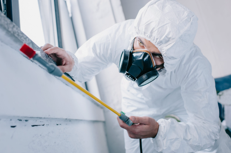 شركة مكافحة حشرات الجهراء