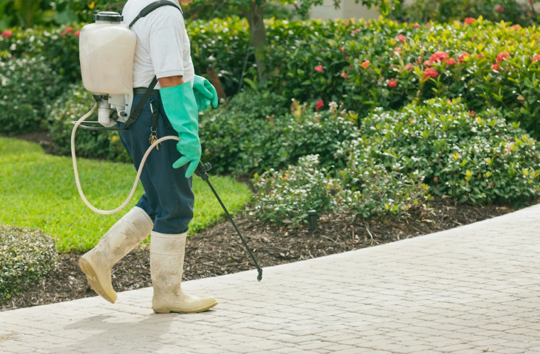 شركة مكافحة حشرات بالجهراء