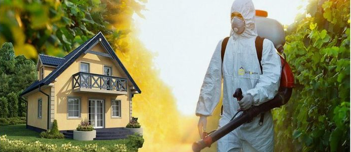 شركة مكافحة حشرات في الجهراء