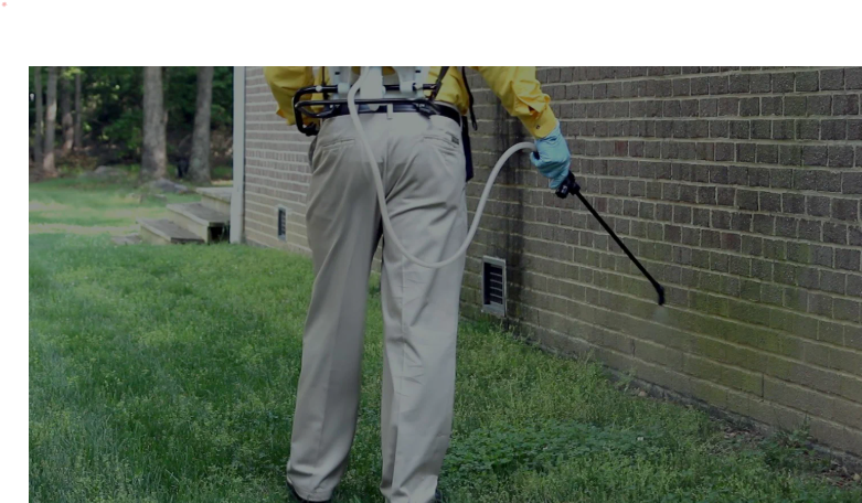 شركات مكافحة الحشرات بمدينة الكويت