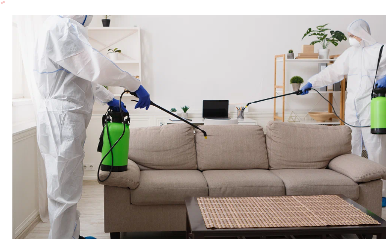 شركات مكافحة الحشرات مدينة الكويت