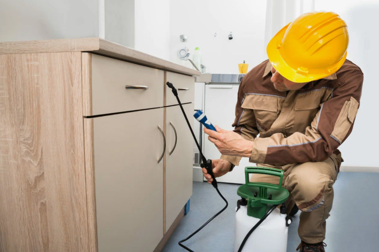 شركة مكافحة الحشرات بمدينة الكويت