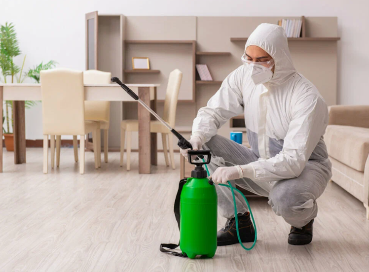 شركة مكافحة الحشرات مدينة الكويت