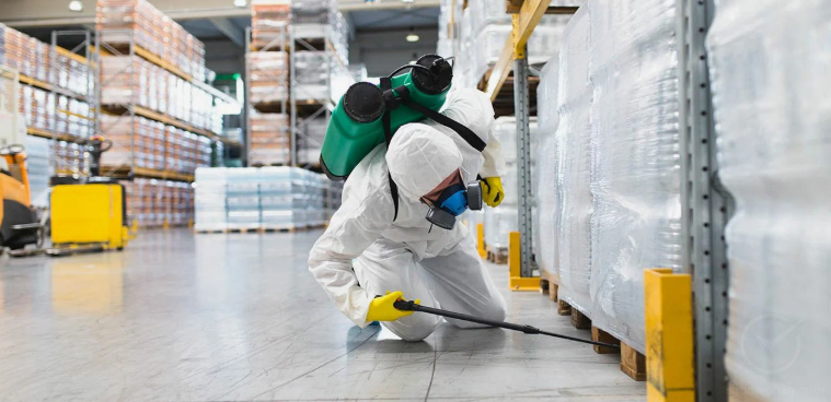 شركات مكافحة الحشرات بالجهراء