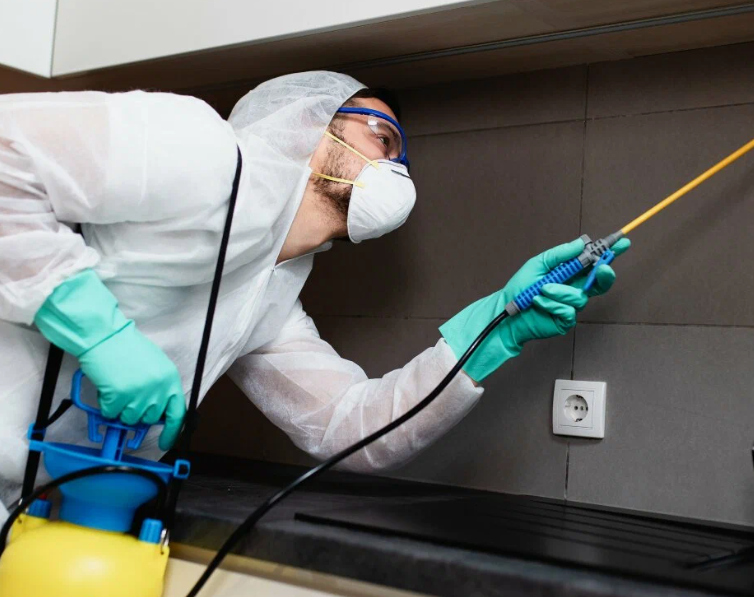 شركة مكافحة الحشرات في العقيلة