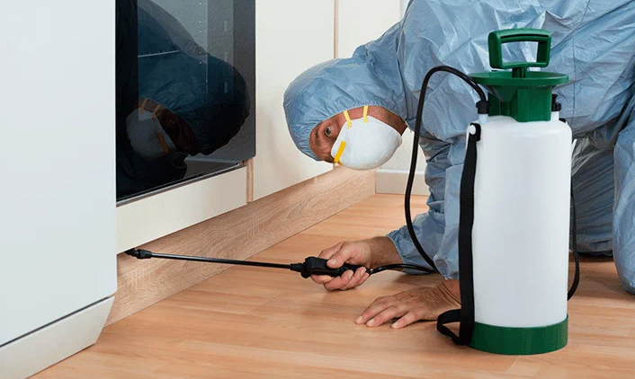 شركات مكافحة الحشرات العقيلة