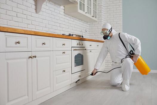 شركات مكافحة الحشرات في العقيلة