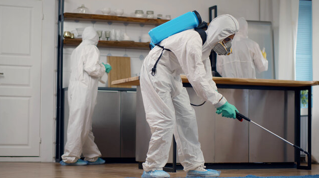 شركات مكافحة حشرات العقيلة