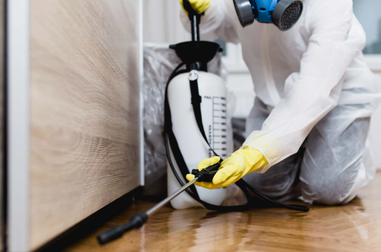 شركات مكافحة حشرات بالعقيلة