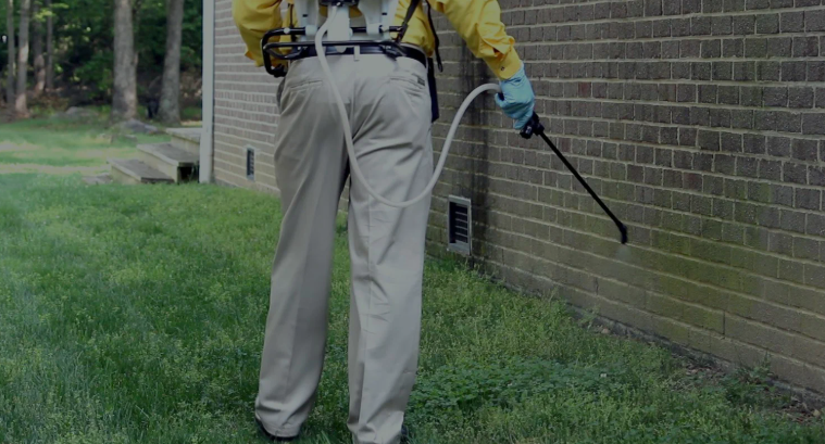 شركات مكافحة حشرات في العقيلة