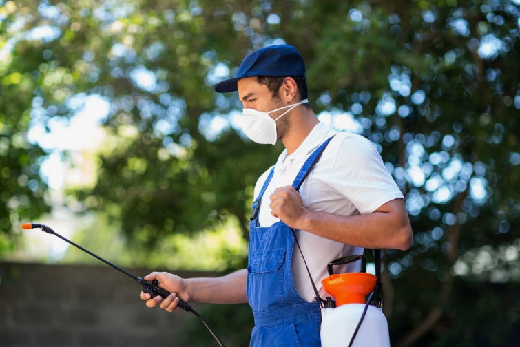 شركات مكافحة حشرات بالفروانية