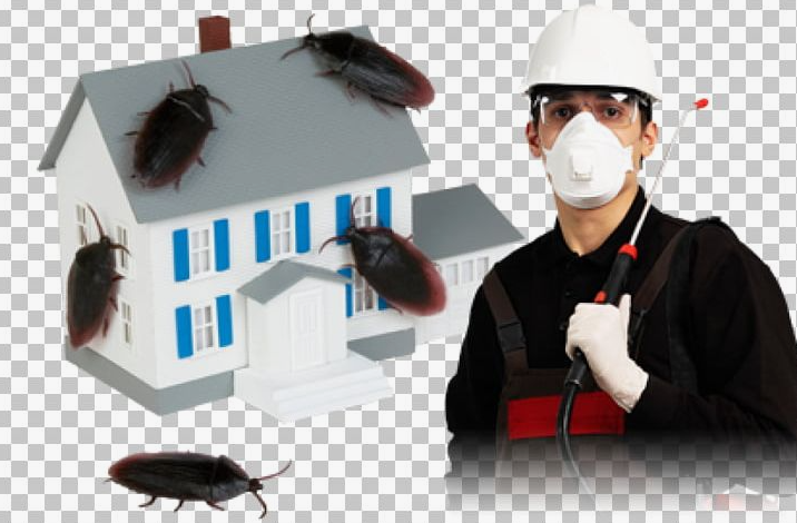 شركة مكافحة الحشرات الفروانية