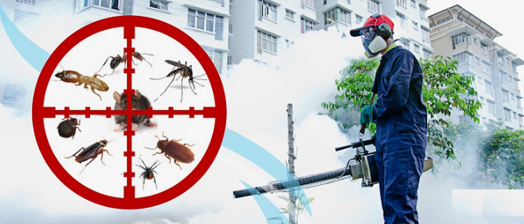 شركة مكافحة حشرات الفروانية